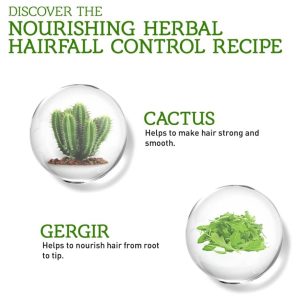 Vatika Naturals Cactus & Gergir Hair Fall Control Oil Replacement 200ml | AlbazaarMarket.com