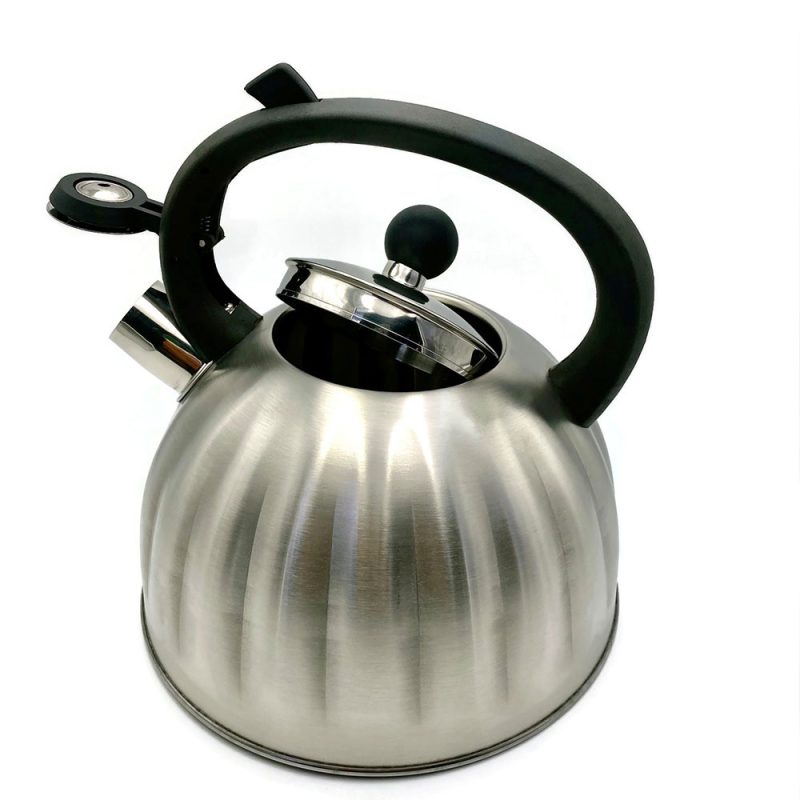 vicalina-stainless-steel-super-shiny-kettle-2.5-l-german-tech